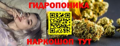 спиды Моздок