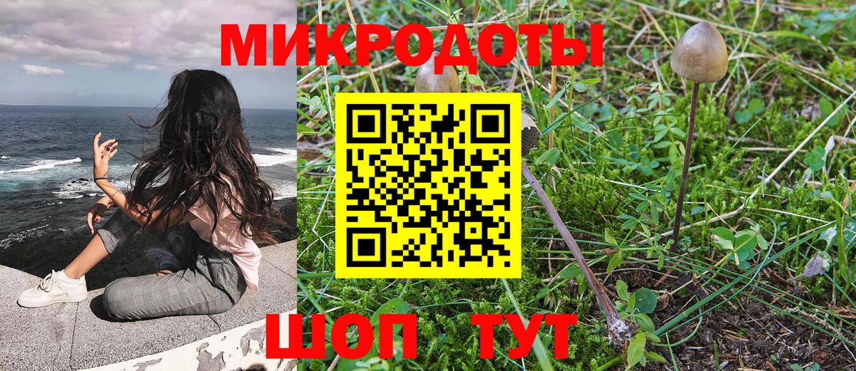 Псилоцибиновые грибы GOLDEN TEACHER Удомля